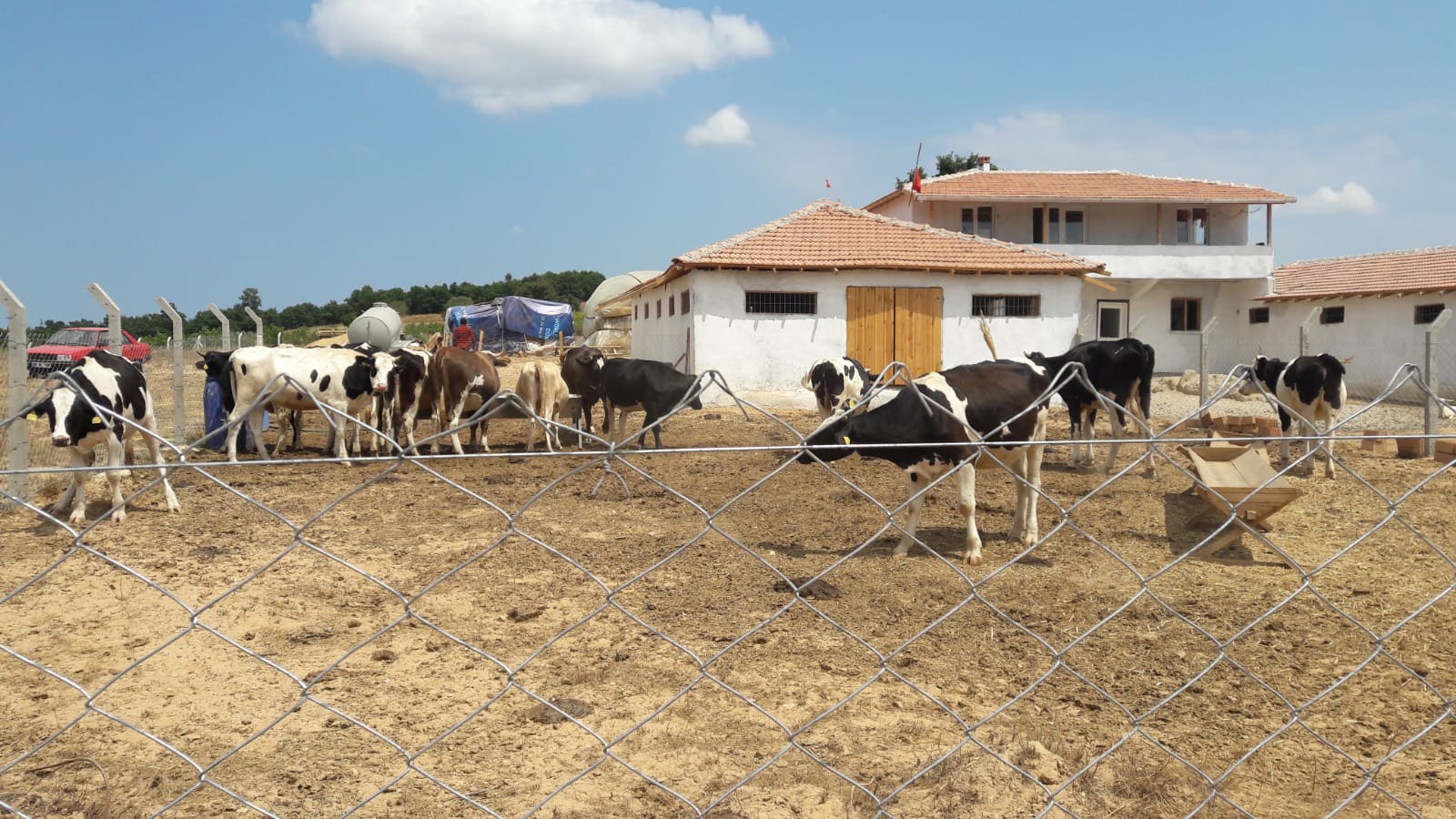 Kırklareli Koruköy de Satılık 8000 m2. Çiftlik