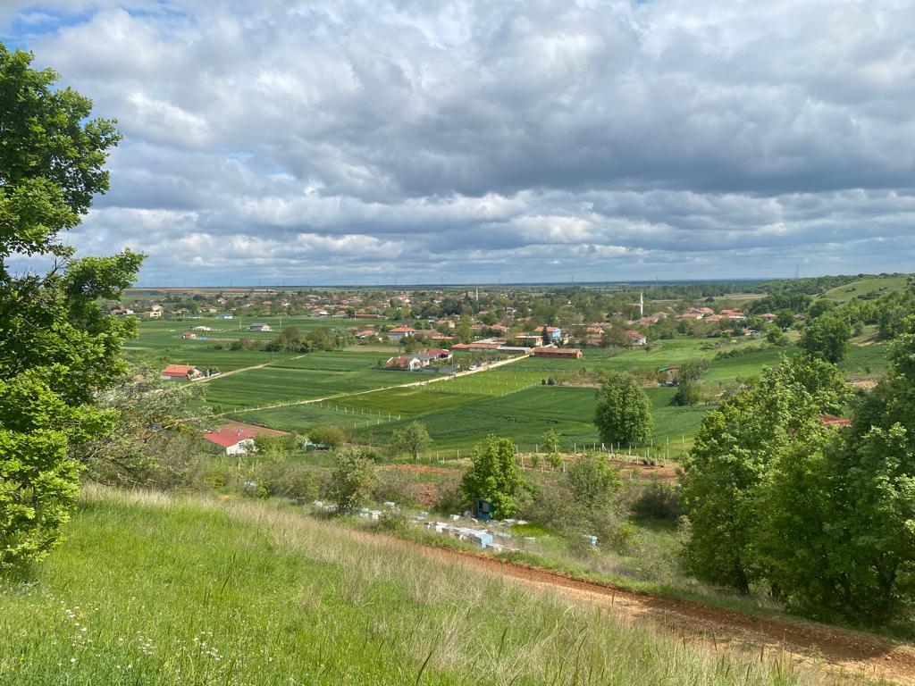 Pınarhisar Sütlücede Müstakil Tapu 2816 m2 Satılık Tarla